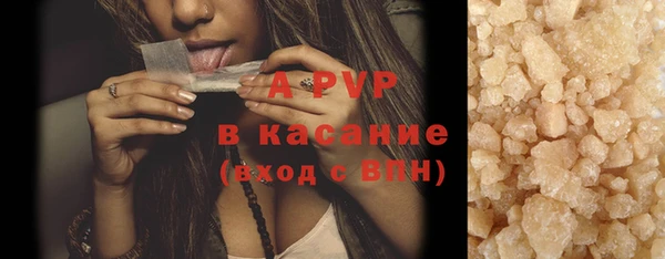 прущие грибы Каменногорск
