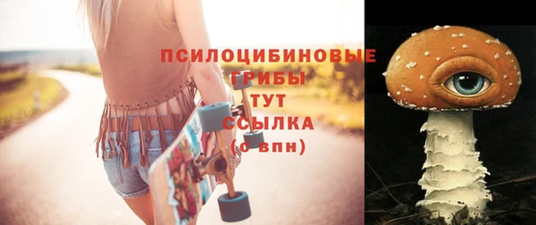 мдма Каменка