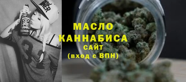 прущие грибы Каменногорск