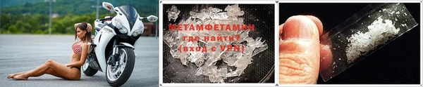 прущие грибы Каменногорск