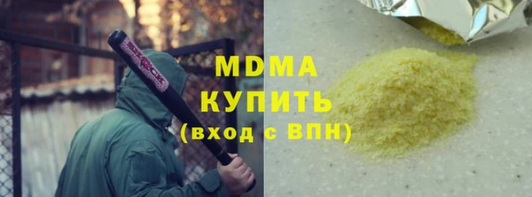 прущие грибы Каменногорск