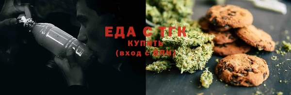 прущие грибы Каменногорск