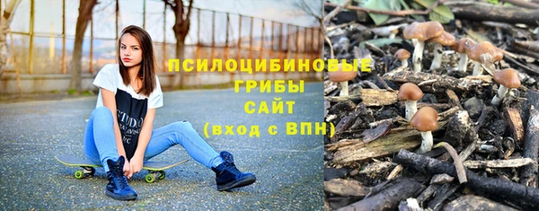 мдма Каменка