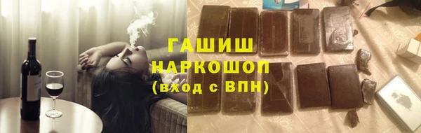 прущие грибы Каменногорск