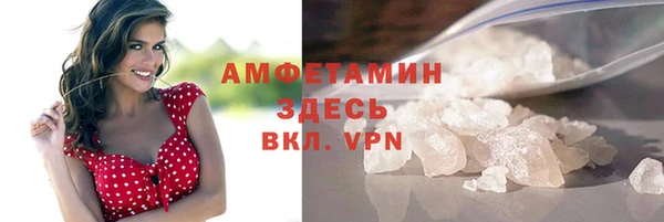 прущие грибы Каменногорск