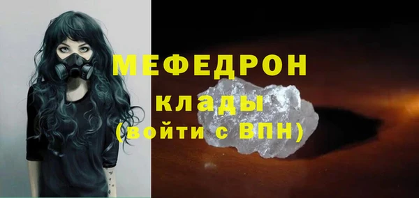 прущие грибы Каменногорск