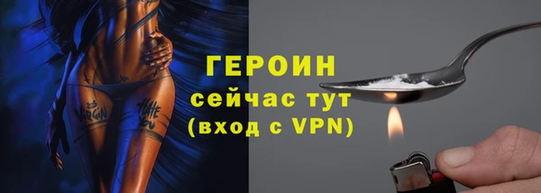 прущие грибы Каменногорск