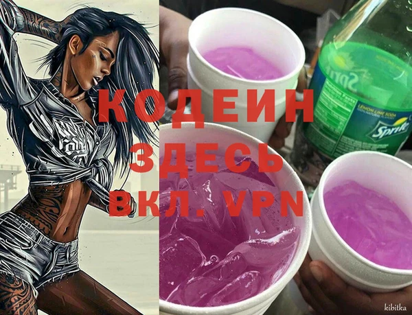 прущие грибы Каменногорск
