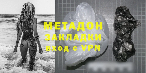 прущие грибы Каменногорск
