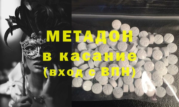 прущие грибы Каменногорск