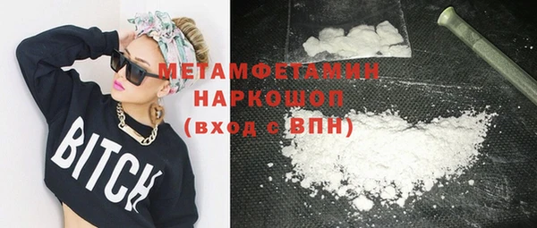 прущие грибы Каменногорск