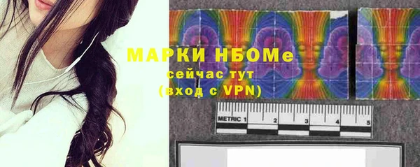 прущие грибы Каменногорск