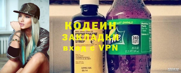 прущие грибы Каменногорск