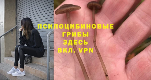 мдма Каменка